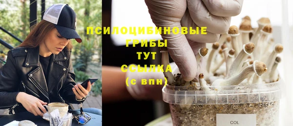мескалин Богородск