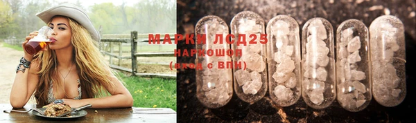 спайс Богданович
